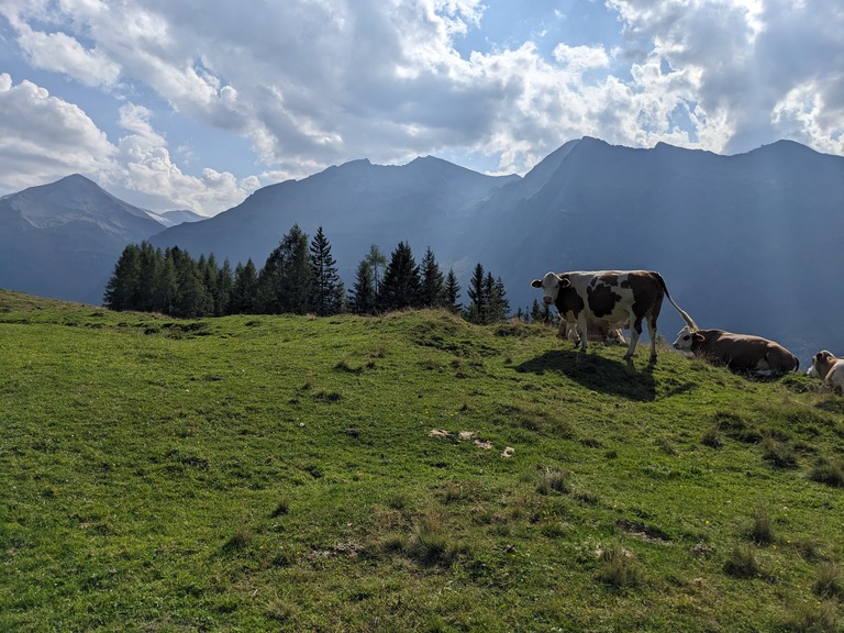 Image of De hoogte wandeling weg